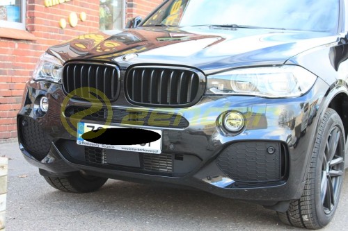 Grill BMW M-PERFORMANCE F15 F16.jpg