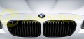 Grill BMW 5 F10 F11 M PERFORMANCE nr2.jpg