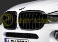 Gril BMW M PERFORMANCE.jpg